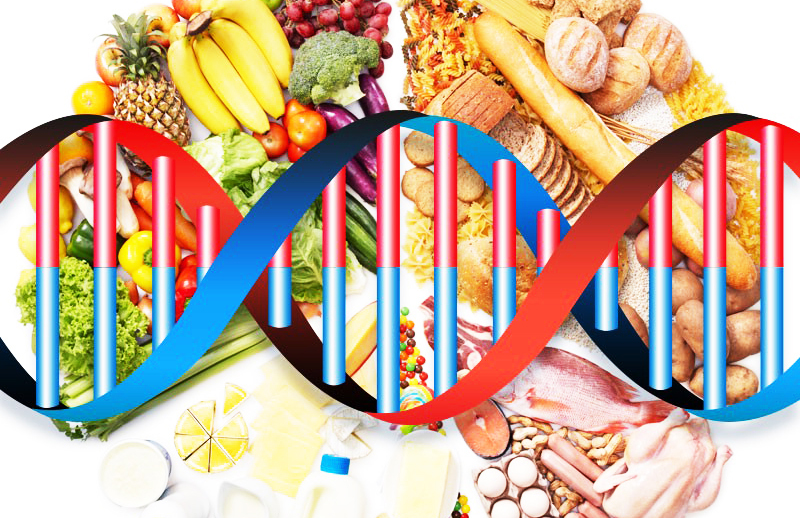 Анализ ДНК и правильная система питания